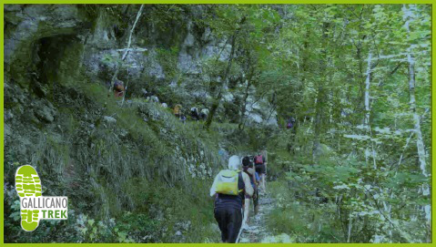 Escursionisti sul sentiero nel bosco - Gallicano Trek